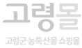 고령몰 로고